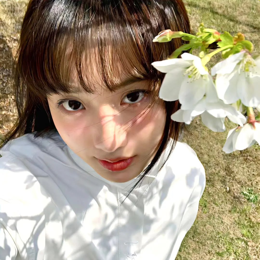 我死在去年夏天